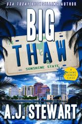 Big Thaw : Miami Jones Florida Mystery Series