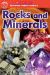 Rocks and Minerals