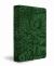 KJV Majestic Illuminated Bible (Emerald LeatherLuxe)