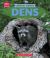 Dens (Learn about: Animal Homes)