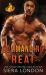 Commanding Heat : Dallas Fire and Rescue Kindle World