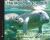 The Manatee Scientists : Saving Vulnerable Species