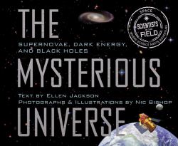 Mysterious Universe : Supernovae, Dark Energy, and Black Holes