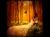 Beholding Jesus in the Song of Songs : Our Love Letters