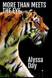 More Than Meets the Eye : Tiger's Eye Mysteries
