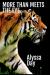 More Than Meets the Eye : Tiger's Eye Mysteries