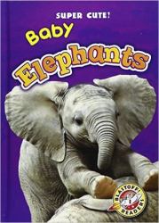 Baby Elephants (Super Cute!)