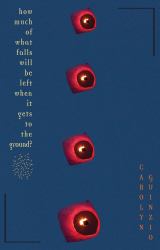 How Much of What Falls Will Be Left When It Gets to the Ground?