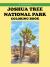Joshua Tree National Park Coloring Book