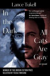 In the Dark All Cats Are Gray : A Novel
