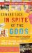 In Spite of the Gods : The Strange Rise of Modern India