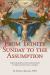 From Trinity Sunday to the Assumption : Daily Readings and Meditations to Pray Alone or As a Family