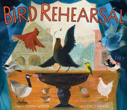 Bird Rehearsal : A Picture Book