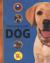 Owning a Pet Dog
