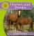 Horses and Ponies Horses and Ponies
