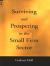 Surviving and Prospering in the Small Firm Sector