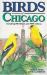Birds of Chicago