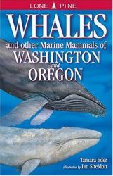 Whales and Other Marine Mammals of Washington and Oregon