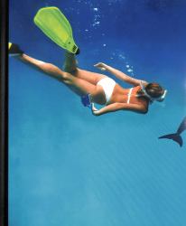 Damien Hirst : Fact Paintings and Fact Sculptures