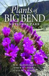 Plants of Big Bend National Park : A Guide to the Trees, Shrubs, Wildflowers, Cacti, and Ferns of the Big Bend Region of Texas