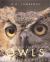 Owls : The Silent Fliers