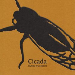 Cicada