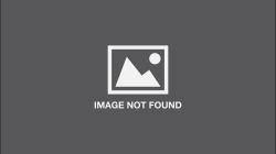 Illustoria: Cats and Dogs : Issue #19: Stories, Comics, DIY, for Creative Kids and Their Grownups