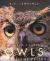 Owls : The Silent Fliers