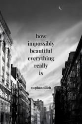 How Impossibly Beautiful Everything Really Is