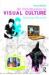 An Introduction to Visual Culture