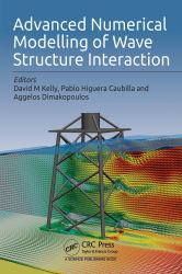 Advanced Numerical Modelling of Wave Structure Interaction