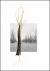 Giuseppe Penone: Thoughts in the Roots