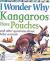 I Wonder Why Kangaroos Have Pouches and Other Questions about Baby Animals