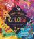 The Stories and Secrets of Colors : Discover How Colors Brighten Our World