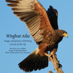 Wingbeat Atlas : Images and Poems Celebrating Citizens of the Sky