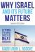 Why Israel (and Its Future) Matters : Letters of a Liberal Rabbi to the Next Generation