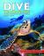 Dive : The Ultimate Guide to the World's Top Dive Locations