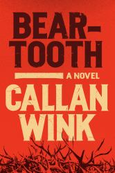 Beartooth : A Novel