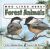 Forest Animals