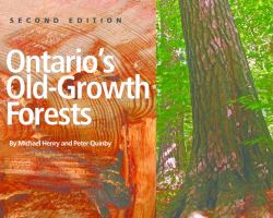 Ontario's Old-Growth Forests