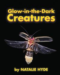 Glow-In-the-Dark-Creatures