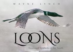 Loons : Treasured Symbols of the North