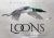 Loons : Treasured Symbols of the North