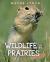 Wildlife of the Prairies for Kids Wildlife of the Prairies for Kids