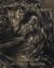 Sibylle Ruppert : Dark Light on White Shadow