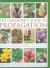 The Gardener's Guide to Propagation : Step-by-Step Instructions for Creating Plants for Free, from Propagating Seeds and Cuttings to Dividing, Layering and Grafting