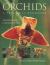 Orchids : A Beautiful Guide to Growing Orchids