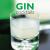 Gin Cocktails : A Practical Guide to Gin Cocktails from the Traditional Gin Sling and Gin Sour to More Contemporary Concoctions Such As Honolulu, Barbarella and Red Cloud