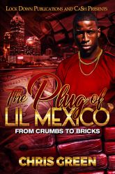 The Plug of Lil Mexico : From Crumbs to Bricks