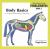 Body Basics : A Guide to the Anatomy of the Horse